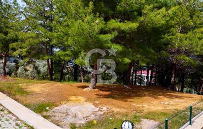 Kemalpaşa Aşağıkızılca da Villa İmarlı Arsa