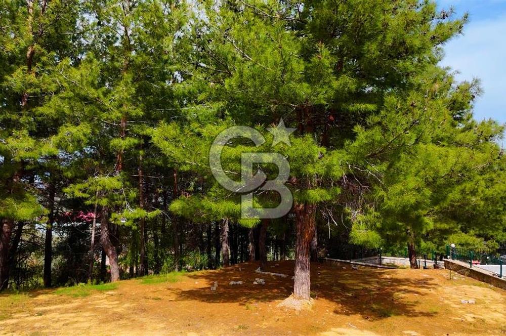 Kemalpaşa Aşağıkızılca da Villa İmarlı Arsa