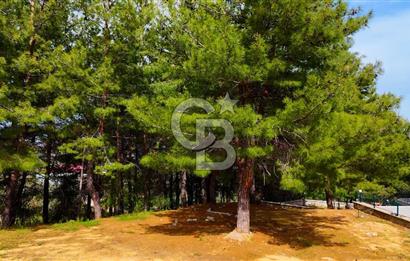 Kemalpaşa Aşağıkızılca da Villa İmarlı Arsa