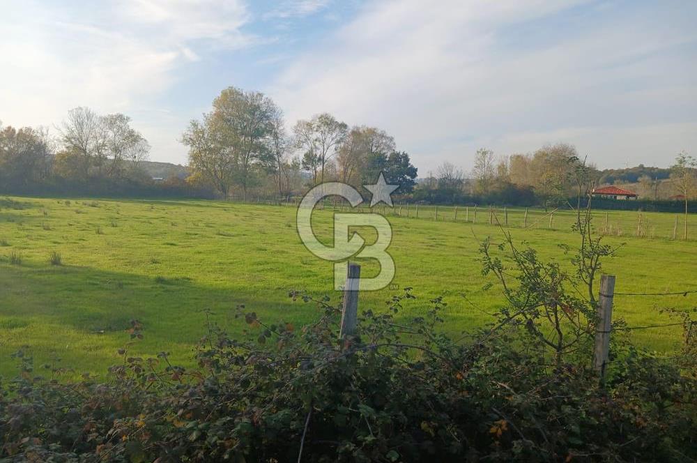 Kandıra karaağaç köyünde yatırım fırsatı