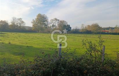 Kandıra karaağaç köyünde yatırım fırsatı