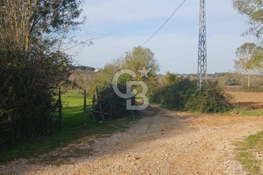 Kandıra karaağaç köyünde yatırım fırsatı