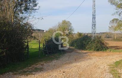 Kandıra karaağaç köyünde yatırım fırsatı