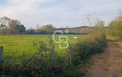 Kandıra karaağaç köyünde yatırım fırsatı