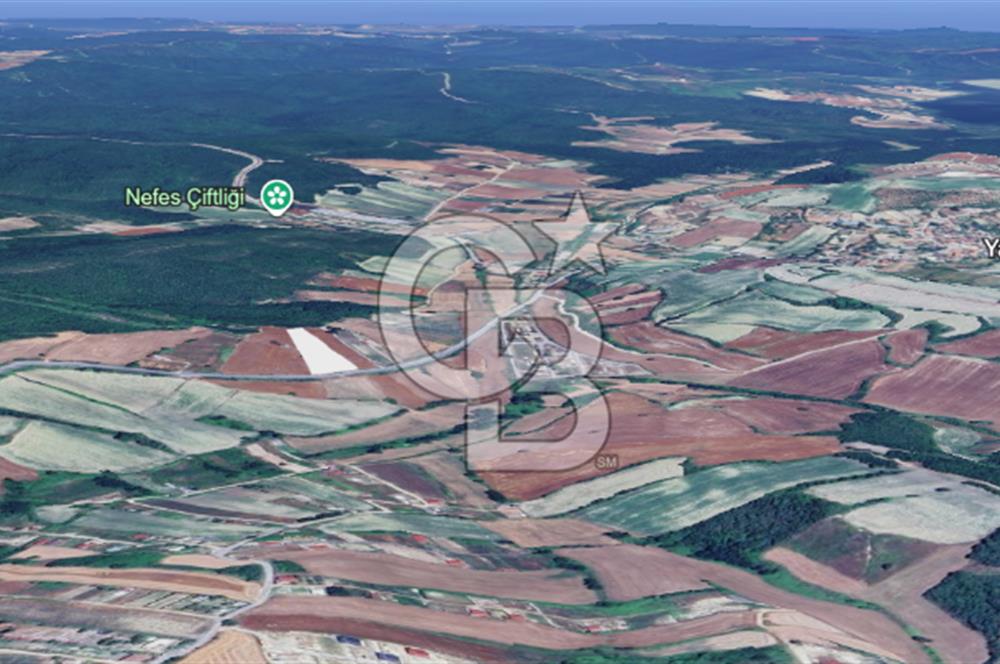 Çatalca Dağyenice Satılık 5.679 M2 Müstakil Tapulu Arazi