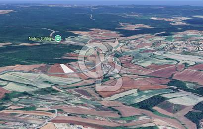 Çatalca Dağyenice Satılık 5.679 M2 Müstakil Tapulu Arazi