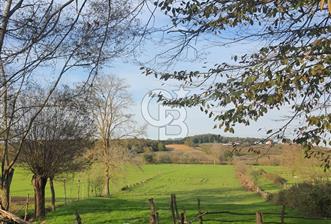 Kaynarca da yatırım imkanı - 5 - 311883