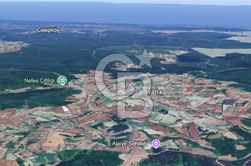 Çatalca Dağyenice Satılık 5.679 M2 Müstakil Tapulu Arazi