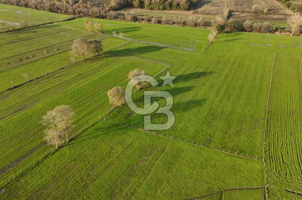 Kaynarca da yatırım imkanı