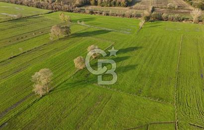 Kaynarca da yatırım imkanı