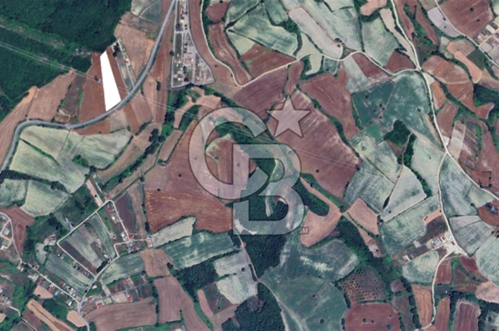 Çatalca Dağyenice Satılık 5.679 M2 Müstakil Tapulu Arazi