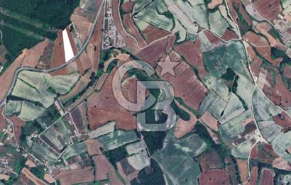 Çatalca Dağyenice Satılık 5.679 M2 Müstakil Tapulu Arazi