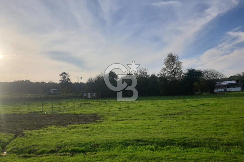 Kaynarca da yatırım imkanı