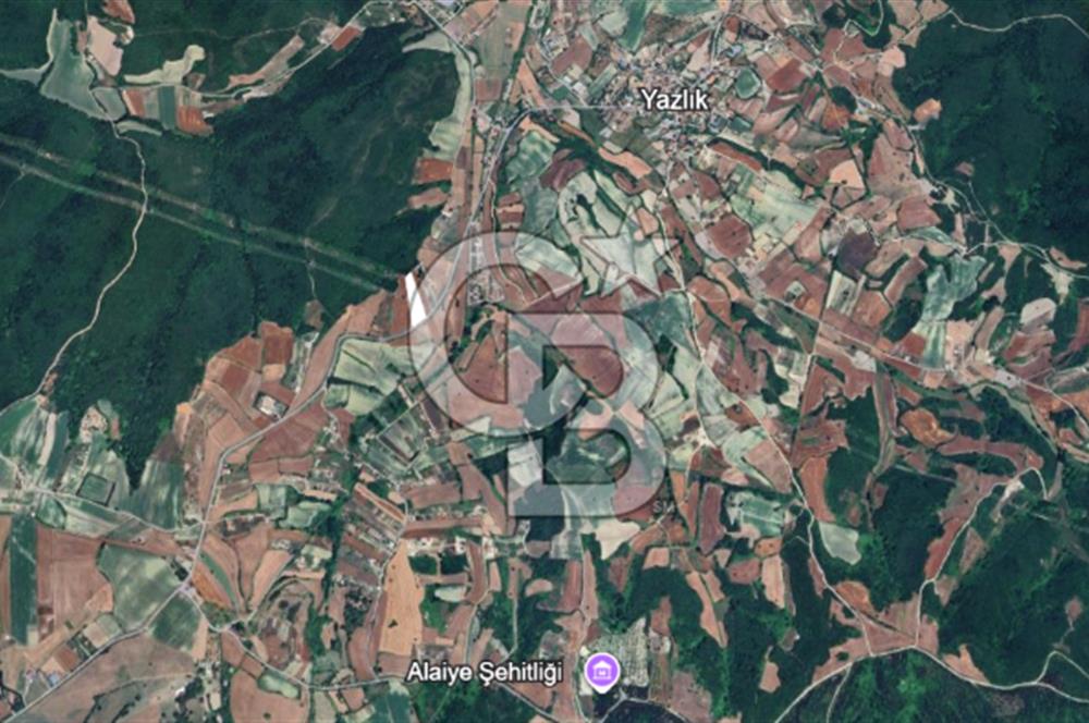 Çatalca Dağyenice Satılık 5.679 M2 Müstakil Tapulu Arazi