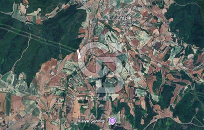 Çatalca Dağyenice Satılık 5.679 M2 Müstakil Tapulu Arazi