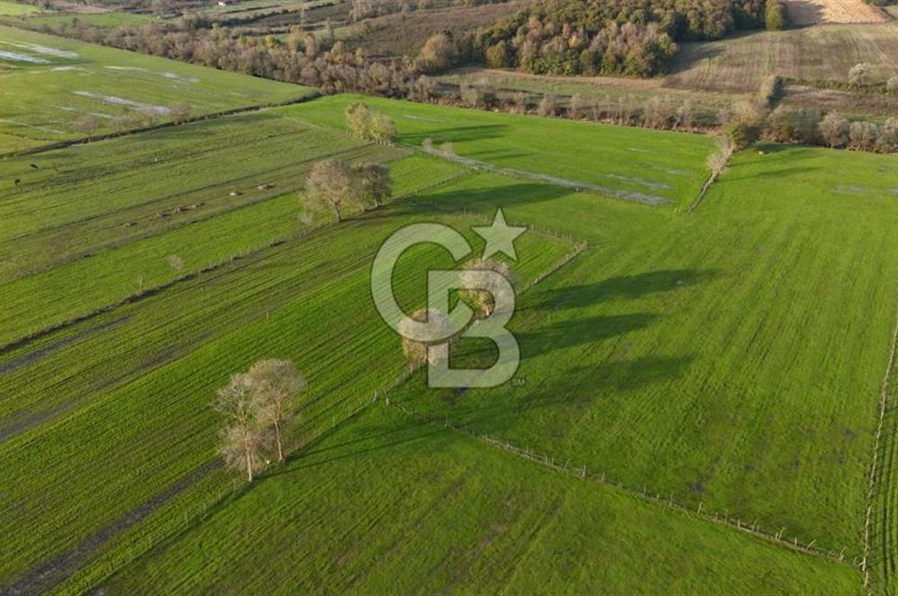 Kaynarca da yatırım imkanı