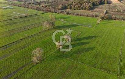 Kaynarca da yatırım imkanı