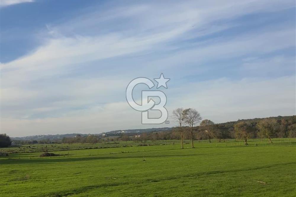 Kaynarca da yatırım imkanı