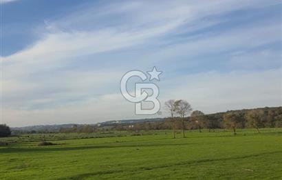 Kaynarca da yatırım imkanı