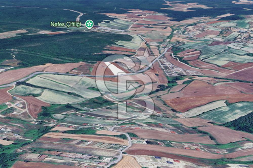 Çatalca Dağyenice Satılık 5.679 M2 Müstakil Tapulu Arazi