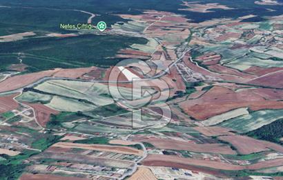 Çatalca Dağyenice Satılık 5.679 M2 Müstakil Tapulu Arazi