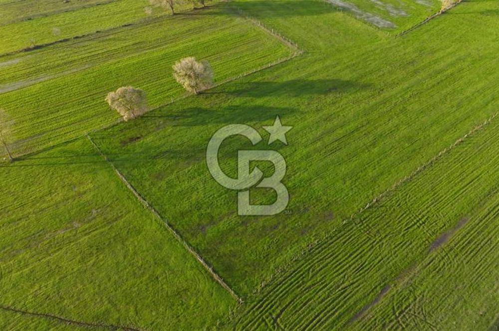 Kaynarca da yatırım imkanı