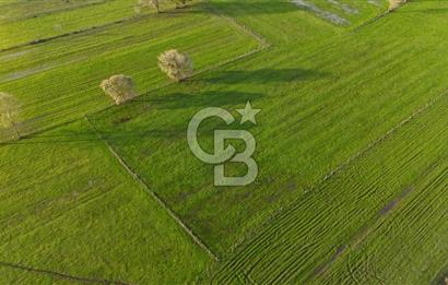 Kaynarca da yatırım imkanı