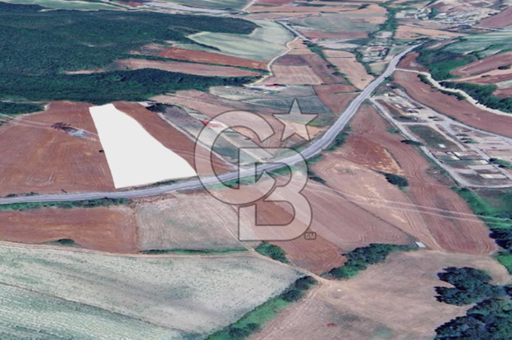 Çatalca Dağyenice Satılık 5.679 M2 Müstakil Tapulu Arazi