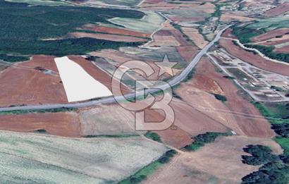 Çatalca Dağyenice Satılık 5.679 M2 Müstakil Tapulu Arazi