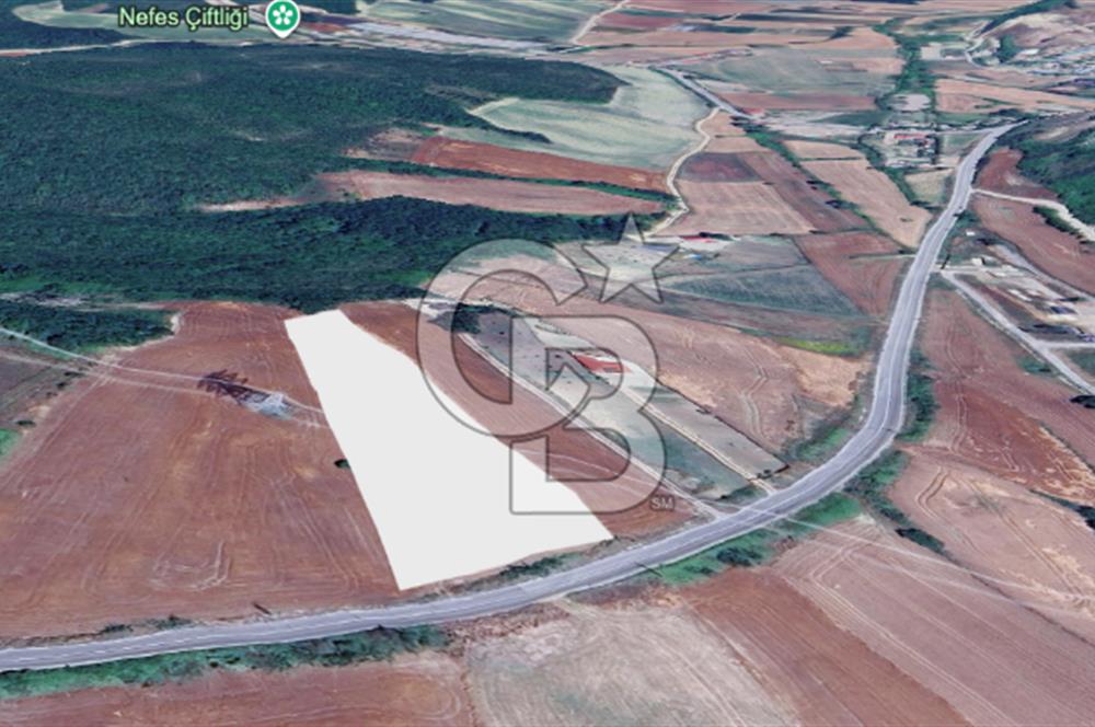 Çatalca Dağyenice Satılık 5.679 M2 Müstakil Tapulu Arazi