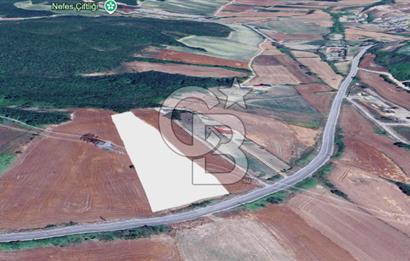 Çatalca Dağyenice Satılık 5.679 M2 Müstakil Tapulu Arazi
