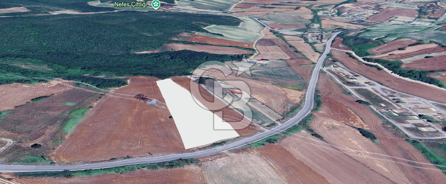 Çatalca Dağyenice Satılık 5.679 M2 Müstakil Tapulu Arazi