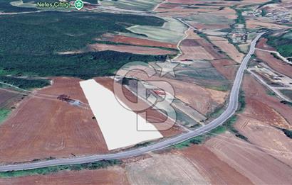 Çatalca Dağyenice Satılık 5.679 M2 Müstakil Tapulu Arazi