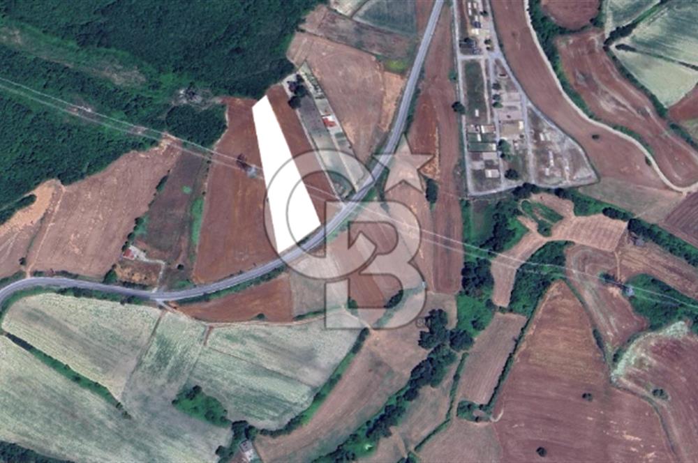 Çatalca Dağyenice Satılık 5.679 M2 Müstakil Tapulu Arazi