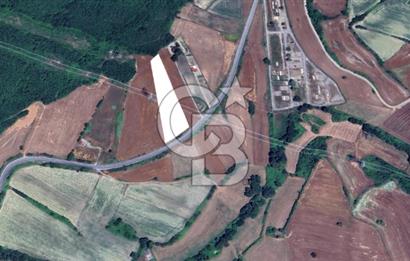 Çatalca Dağyenice Satılık 5.679 M2 Müstakil Tapulu Arazi