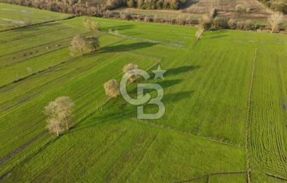 Kaynarca da yatırım imkanı