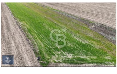 TOKİ Konutlarına Yakın, Değer Kazanan Bölgede 536 m² Tarla 