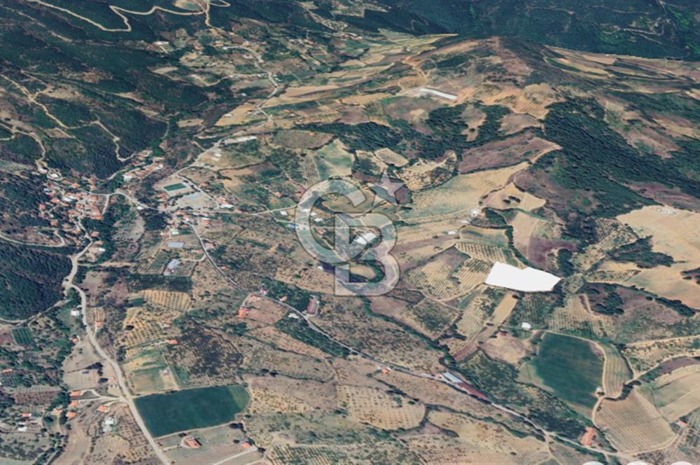 Turgutlu Dağyeni köyde 7 Dönüm Tarla