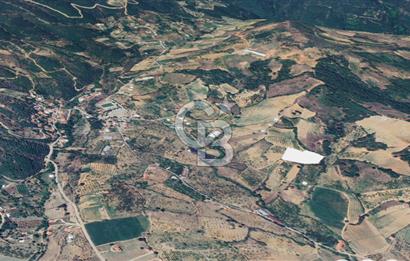 Turgutlu Dağyeni köyde 7 Dönüm Tarla