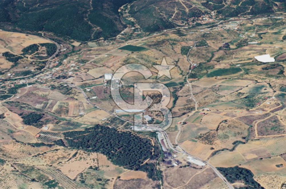 Turgutlu Dağyeni köyde 7 Dönüm Tarla