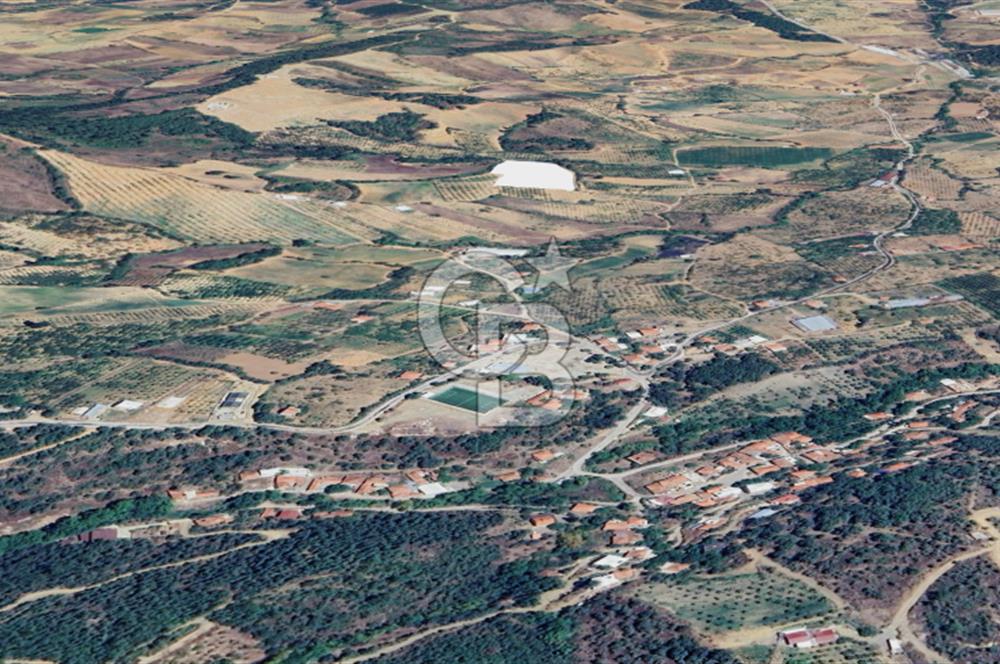 Turgutlu Dağyeni köyde 7 Dönüm Tarla