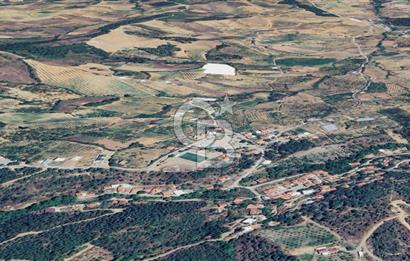 Turgutlu Dağyeni köyde 7 Dönüm Tarla