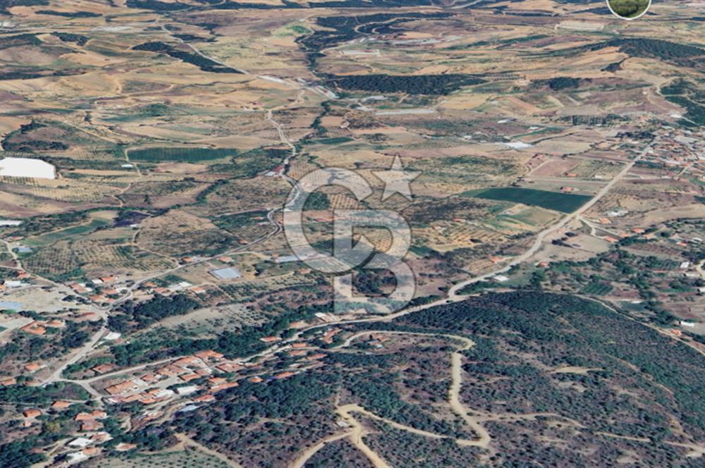 Turgutlu Dağyeni köyde 7 Dönüm Tarla