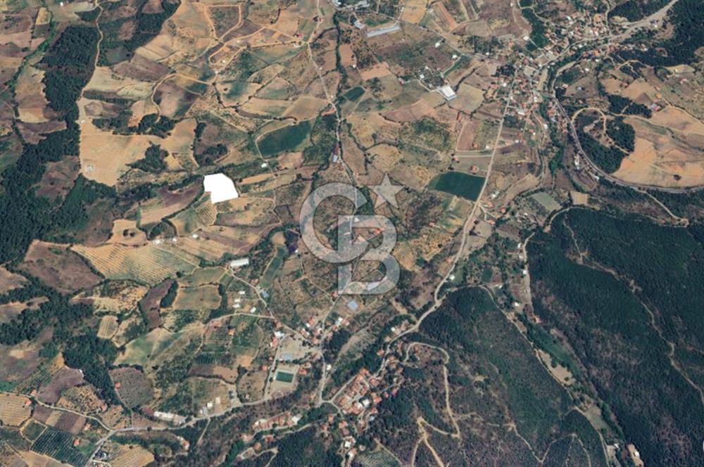 Turgutlu Dağyeni köyde 7 Dönüm Tarla