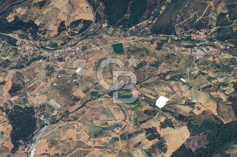 Turgutlu Dağyeni köyde 7 Dönüm Tarla