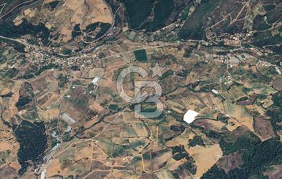 Turgutlu Dağyeni köyde 7 Dönüm Tarla