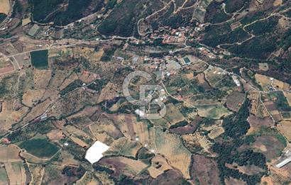 Turgutlu Dağyeni köyde 7 Dönüm Tarla