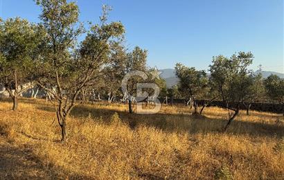 Bornova Yakaköy de Satılık Hisseli Tarla ve Prefabrik Ev