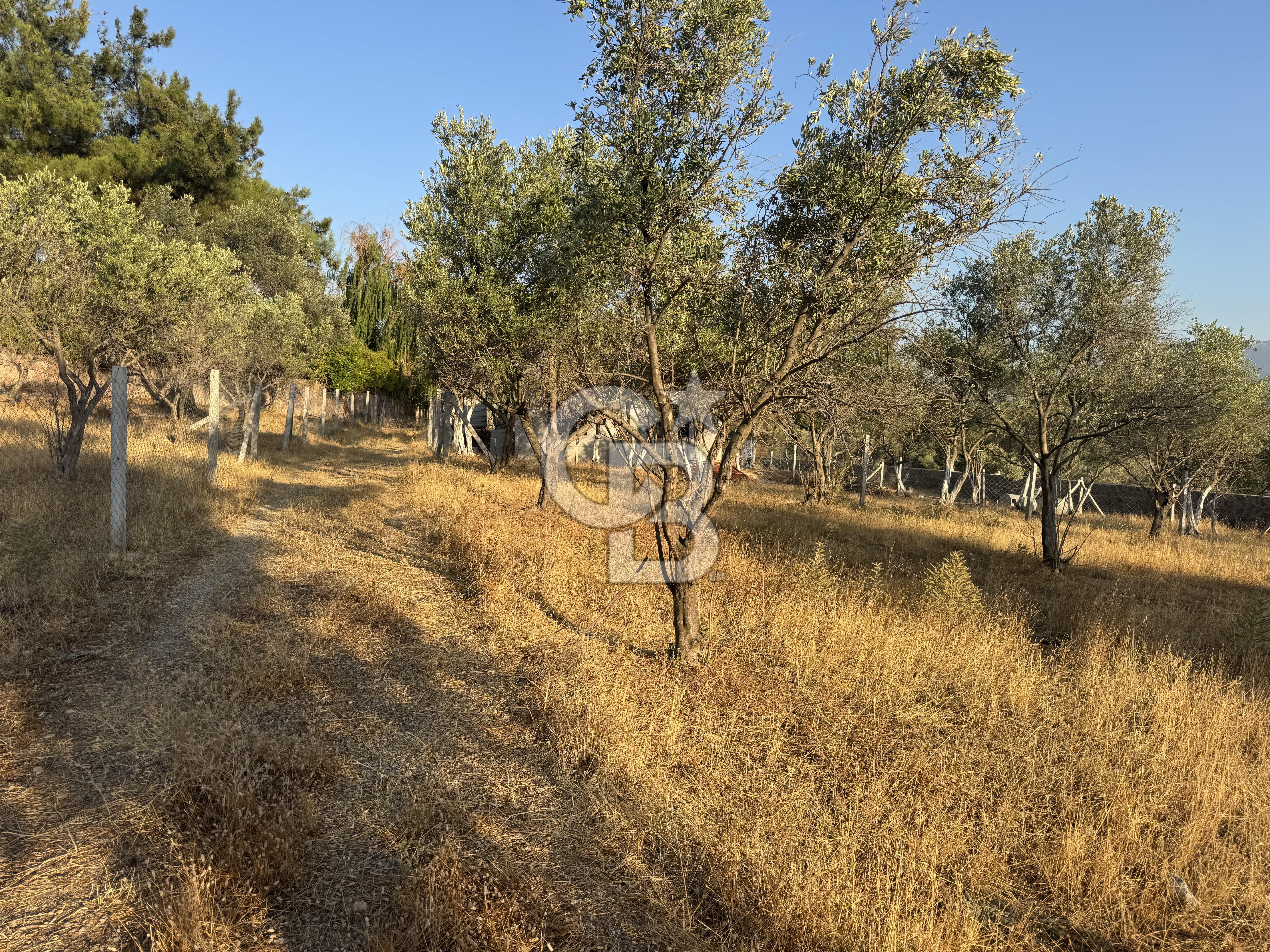 Bornova Yakaköy de Satılık Hisseli Tarla ve Prefabrik Ev
