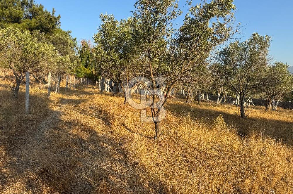 Bornova Yakaköy de Satılık Hisseli Tarla ve Prefabrik Ev